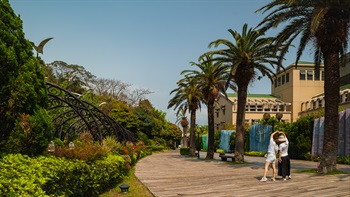 Adjacent to the arbor is a timber boardwalk lined with Canary Island Date Palms (<em>Phoenix canariensis</em>). The palms are a unique, attractive feature along this walkway.